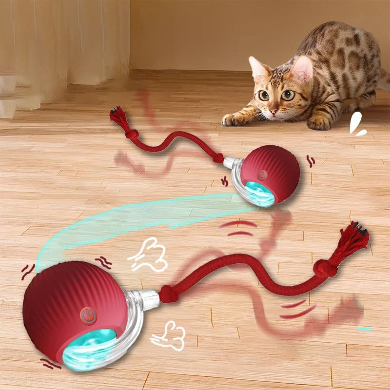 Rolling Tail Ball