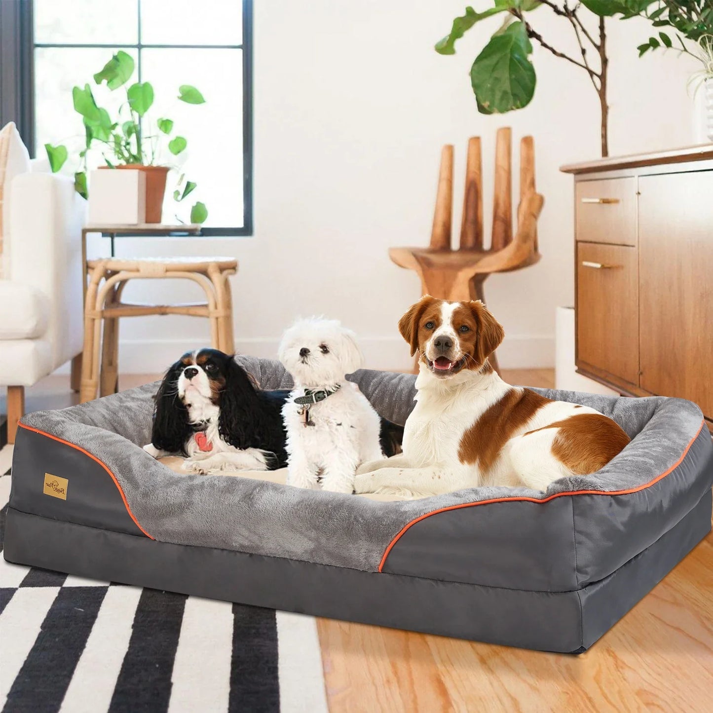 CareCloud™ - TPT Enabled Orthopedic Dog Bed